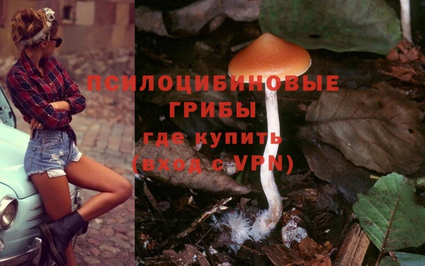 гашиш Каменка