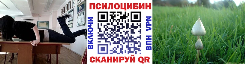 Купить  Дрезна  Галлюциногенные грибы MAGIC MUSHROOMS 
